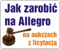 Jak zarobić na Allegro na aukcjach z licytacją